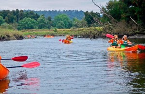 Kayak Natureza no Rio Minho